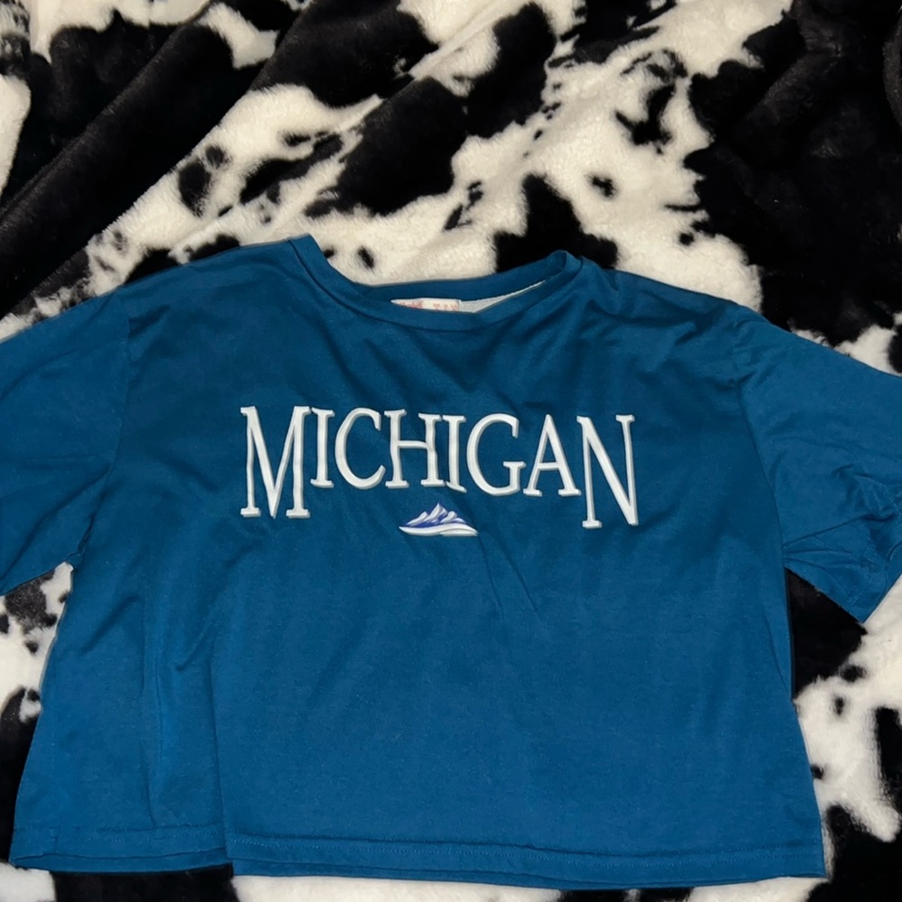 Blue crop top